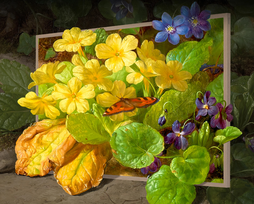 Hisense 55S7N TV 139.7 cm (55") 4K Ultra HD Smart TV Wi-Fi Gold