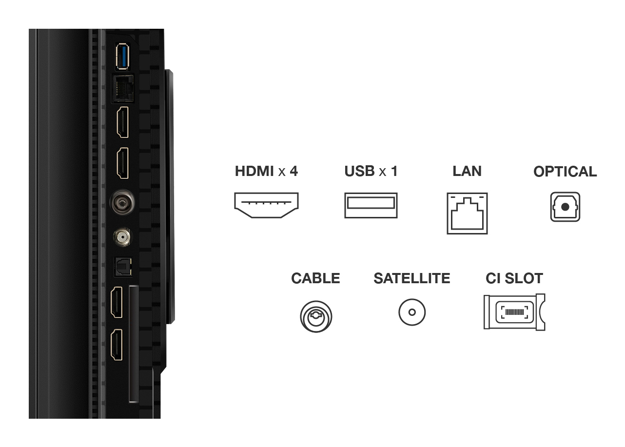TCL P8K 55P8K 55" 4K QLED HDR Smart TV