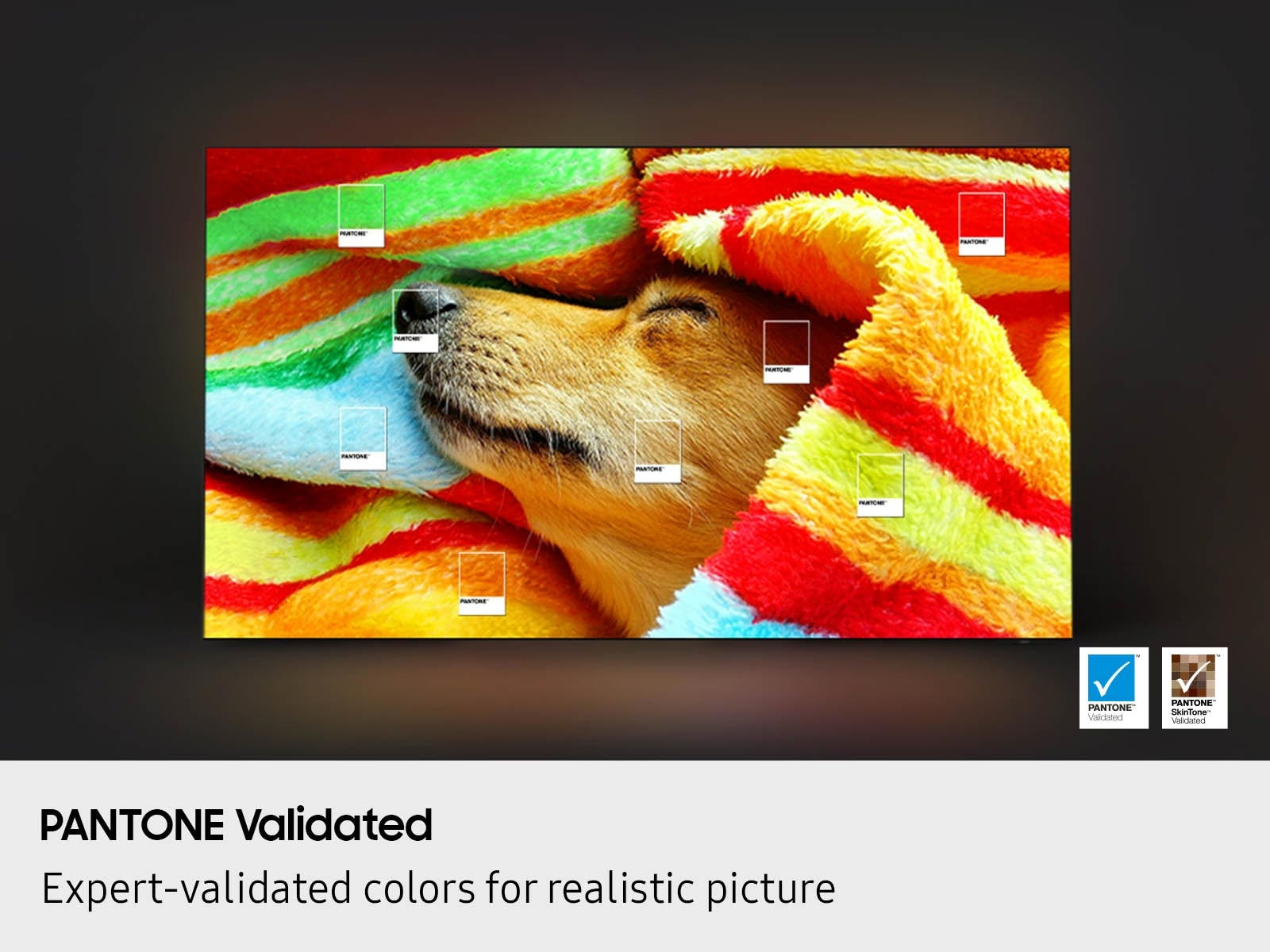 Samsung Series 8 QN65S85FAFXZA TV 165.1 cm (65") 4K Ultra HD Smart TV Wi-Fi Black