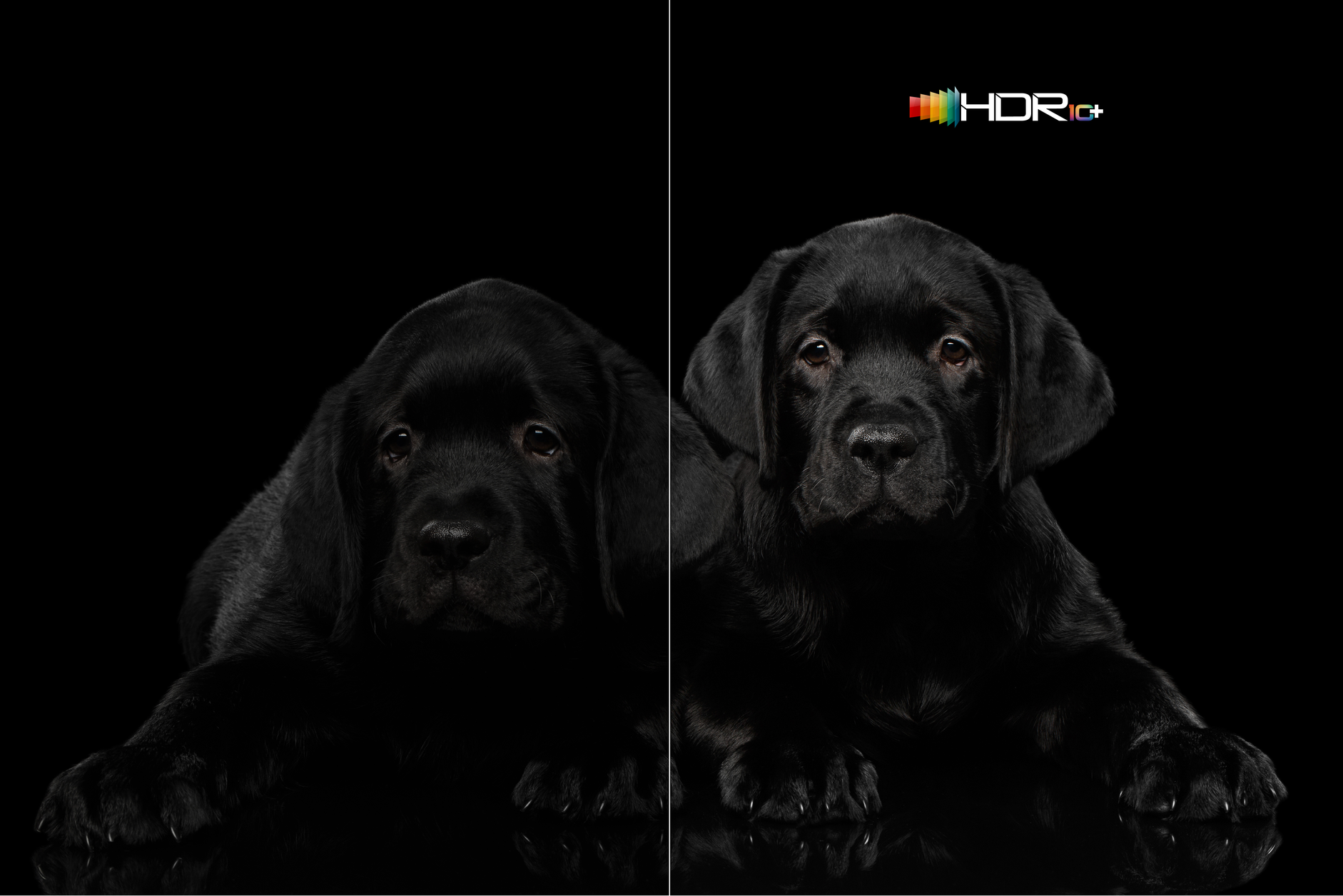 TCL 65RC650K TV 165.1 cm (65") 4K Ultra HD Smart TV Wi-Fi Black 450 cd/m²