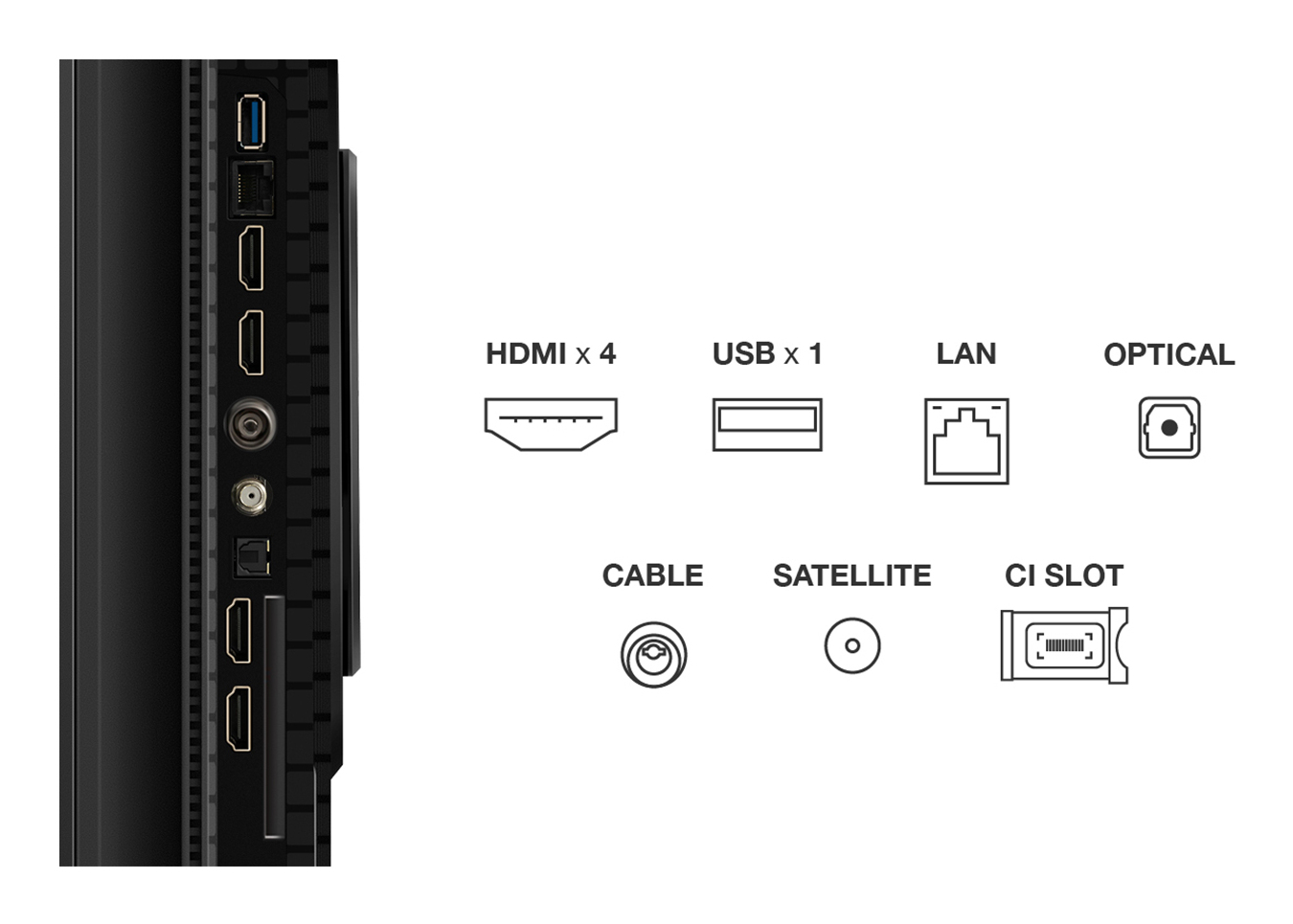 TCL P8K 65P8K 65" 4K QLED HDR Smart TV