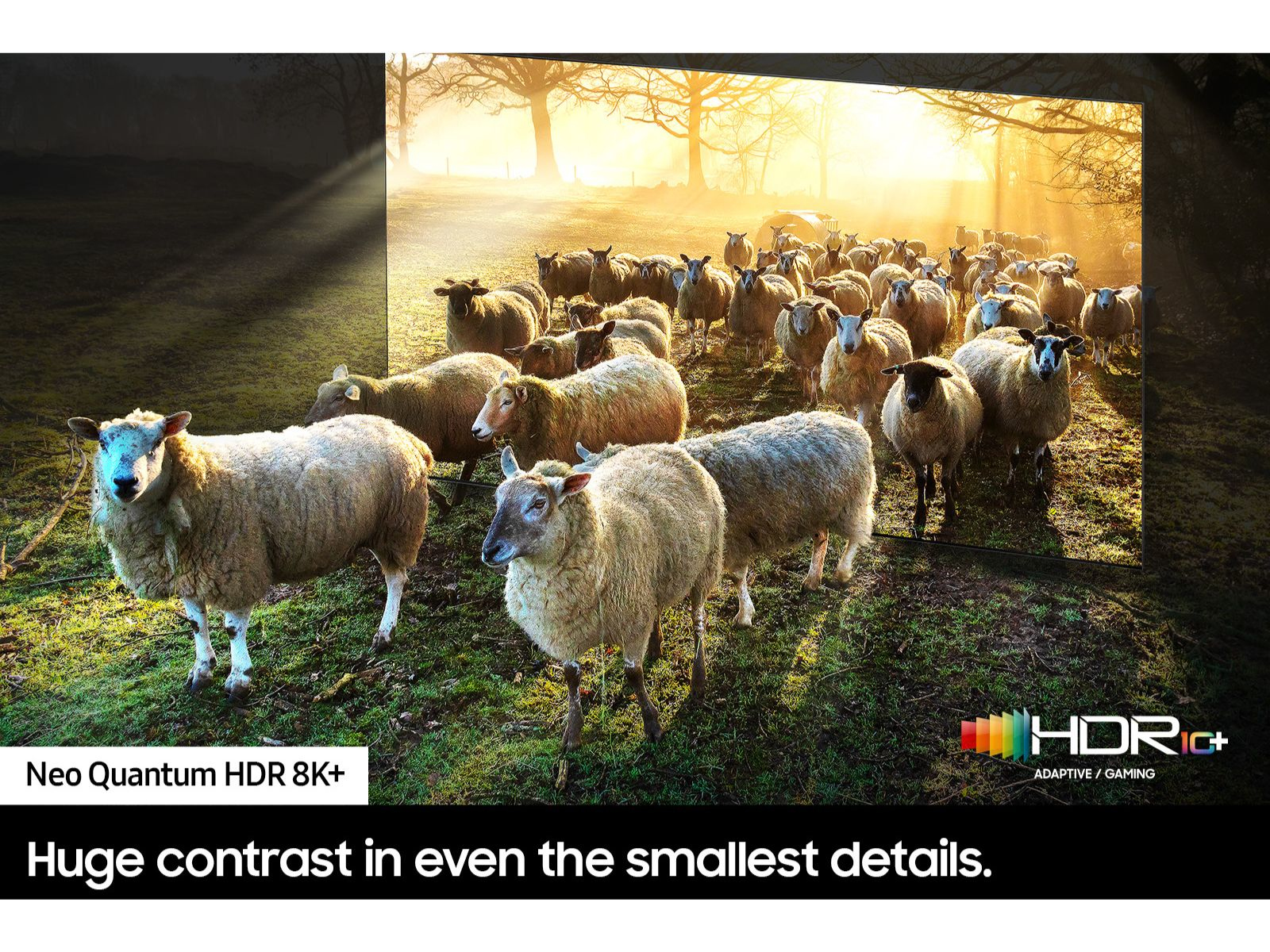 Samsung Series 9 QE85QN900CTXXU 2.16 m (85") 8K Ultra HD Smart TV Wi-Fi Black, Titanium