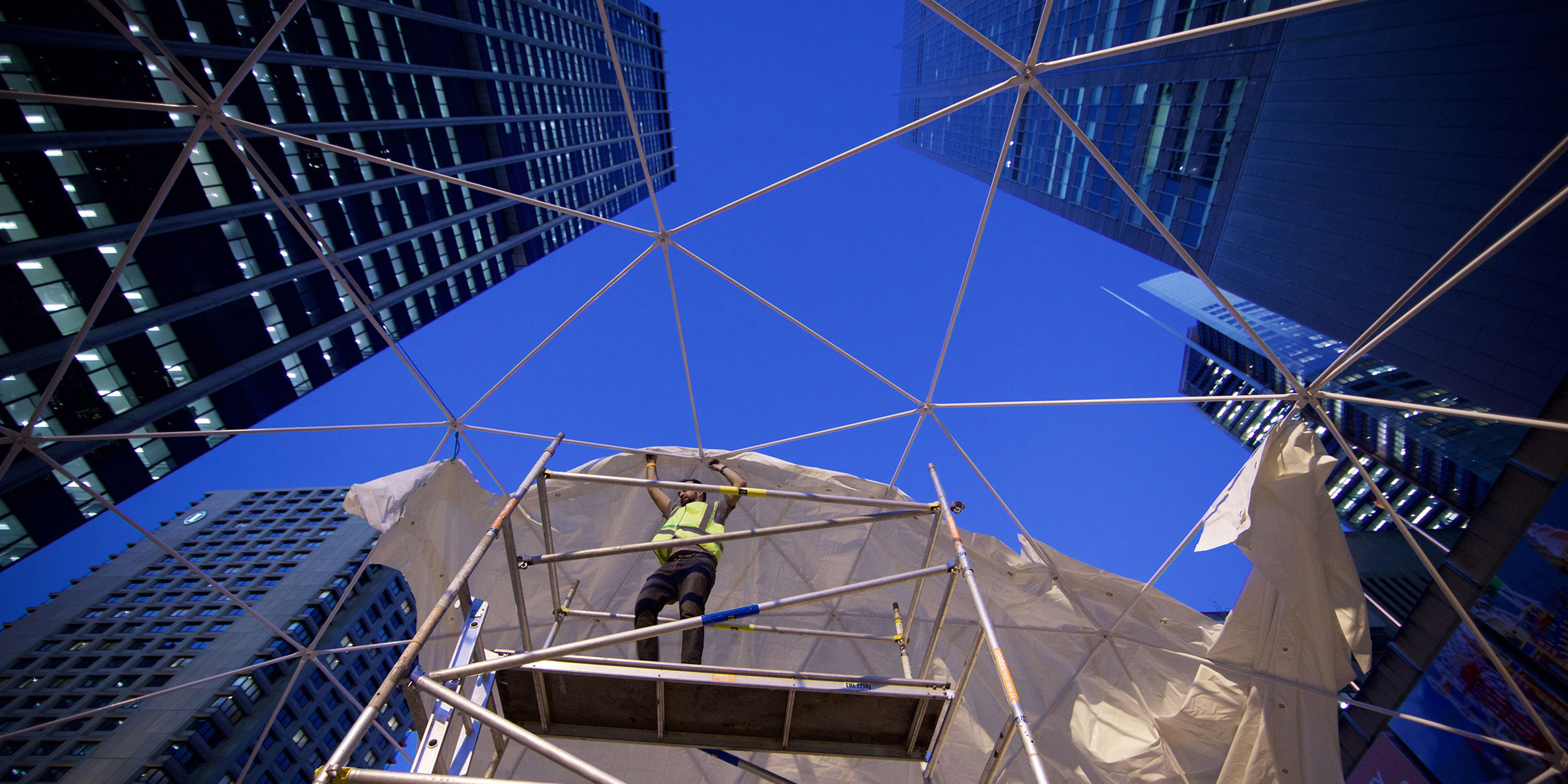 Electric Jellyfish Dolby