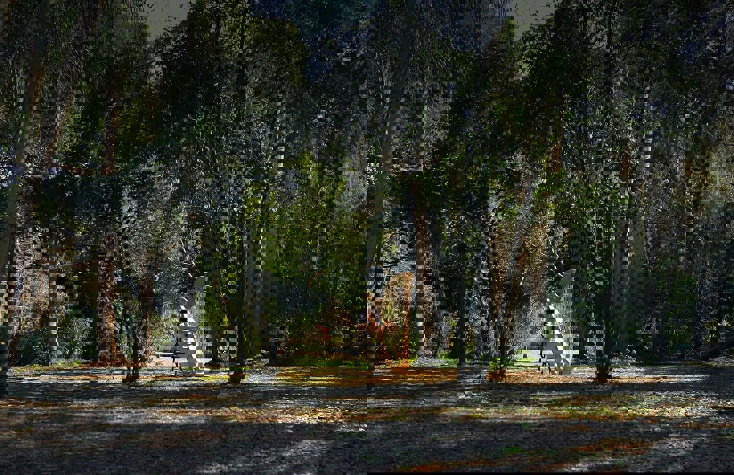 Hays + Ryan Holladay