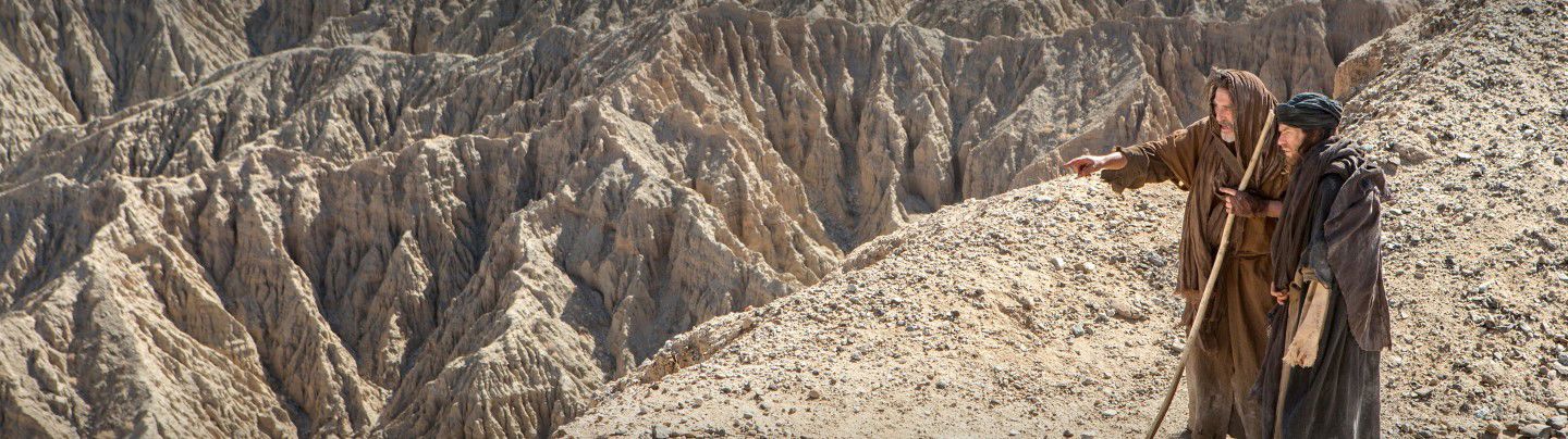 Last Days in the Desert